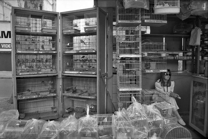 Budgie City, La Rambla, Barcelona, 1990.