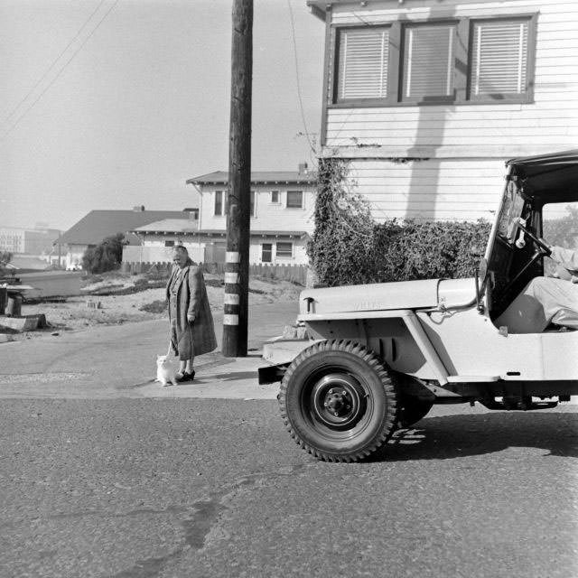 The Surprising Story of Carolyn Swanson and her Seeing-Eye Persian Cat, 1947