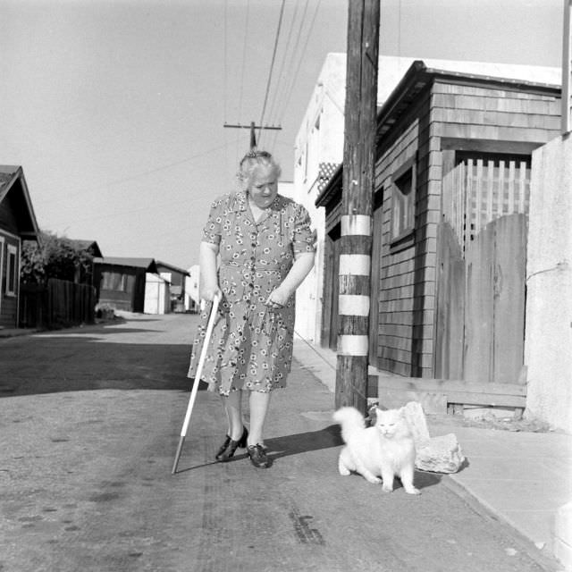 The Surprising Story of Carolyn Swanson and her Seeing-Eye Persian Cat, 1947