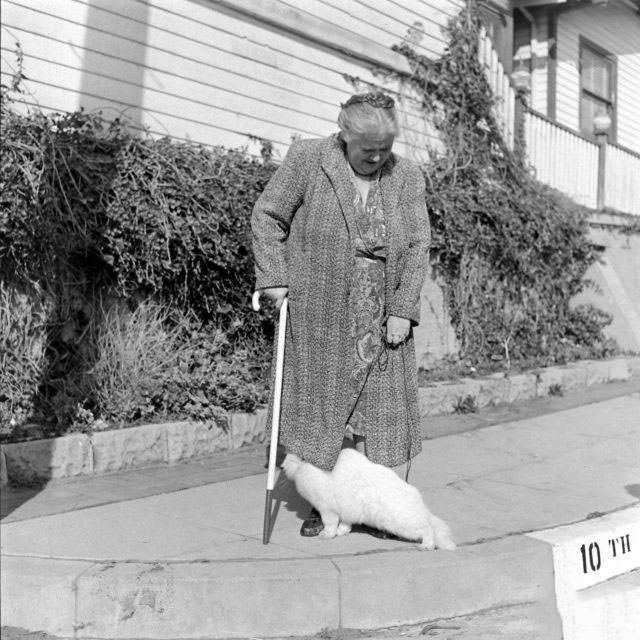 The Surprising Story of Carolyn Swanson and her Seeing-Eye Persian Cat, 1947