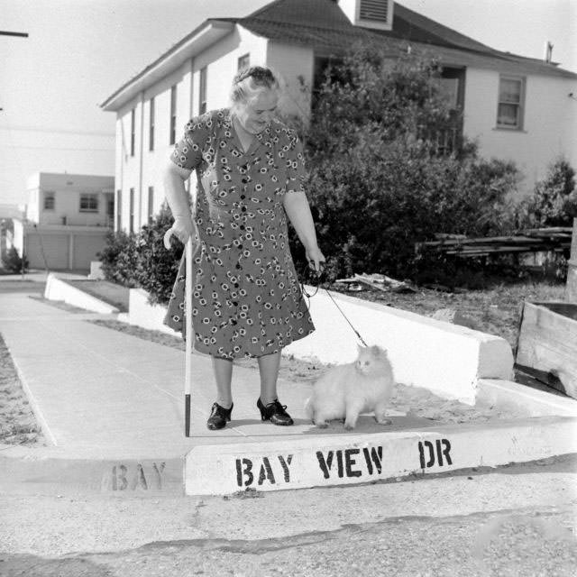 The Surprising Story of Carolyn Swanson and her Seeing-Eye Persian Cat, 1947