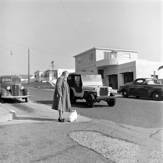 The Surprising Story of Carolyn Swanson and her Seeing-Eye Persian Cat, 1947