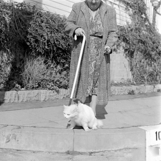 The Surprising Story of Carolyn Swanson and her Seeing-Eye Persian Cat, 1947