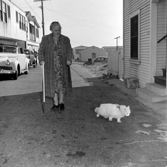 The Surprising Story of Carolyn Swanson and her Seeing-Eye Persian Cat, 1947