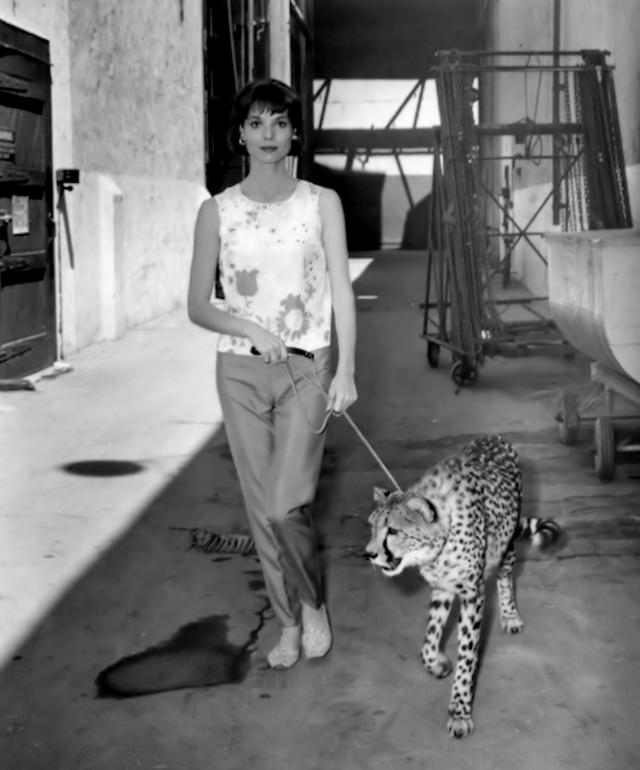 Elsa Martinelli, 1962