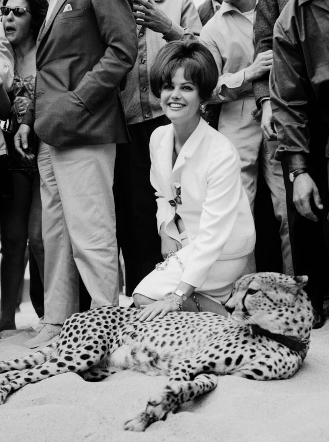 Claudia Cardinale, 1963