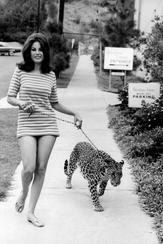 Lana Wood, 1966