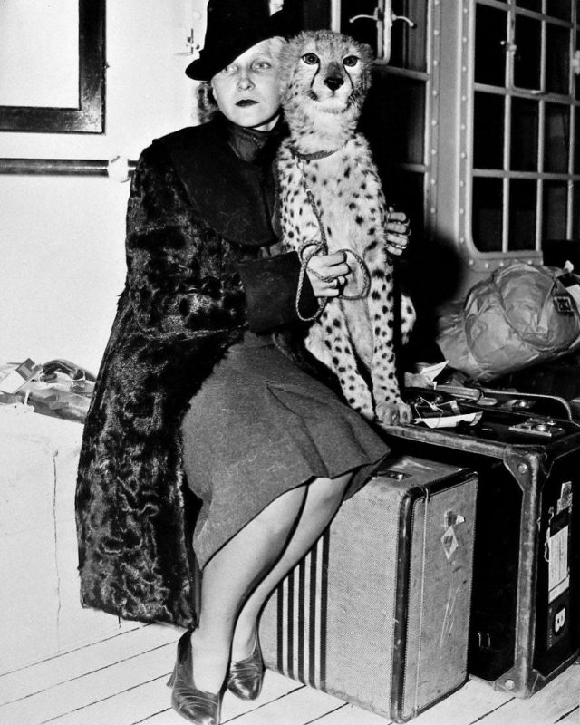 Countess Elvira de Flogny, 1939