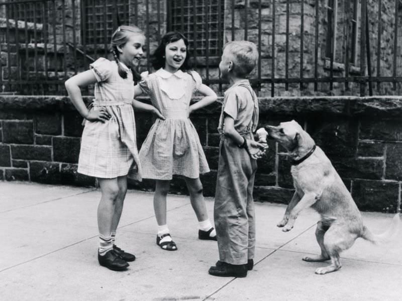 The Timeless Bond: Children and Animals in Vintage Pictures