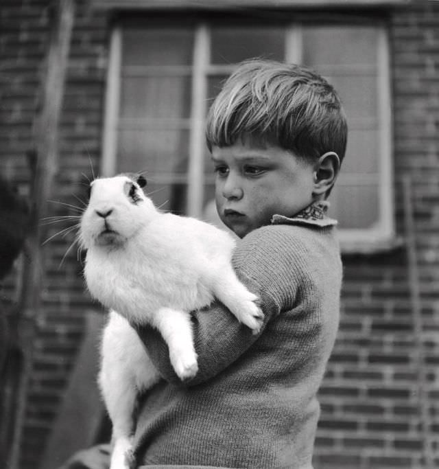 The Timeless Bond: Children and Animals in Vintage Pictures