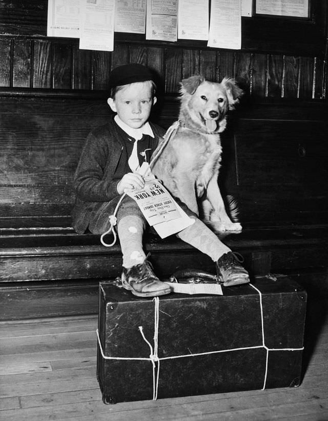 The Timeless Bond: Children and Animals in Vintage Pictures