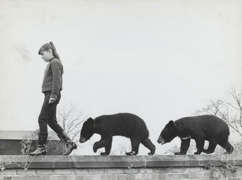 The Timeless Bond: Children and Animals in Vintage Pictures