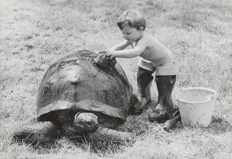 The Timeless Bond: Children and Animals in Vintage Pictures