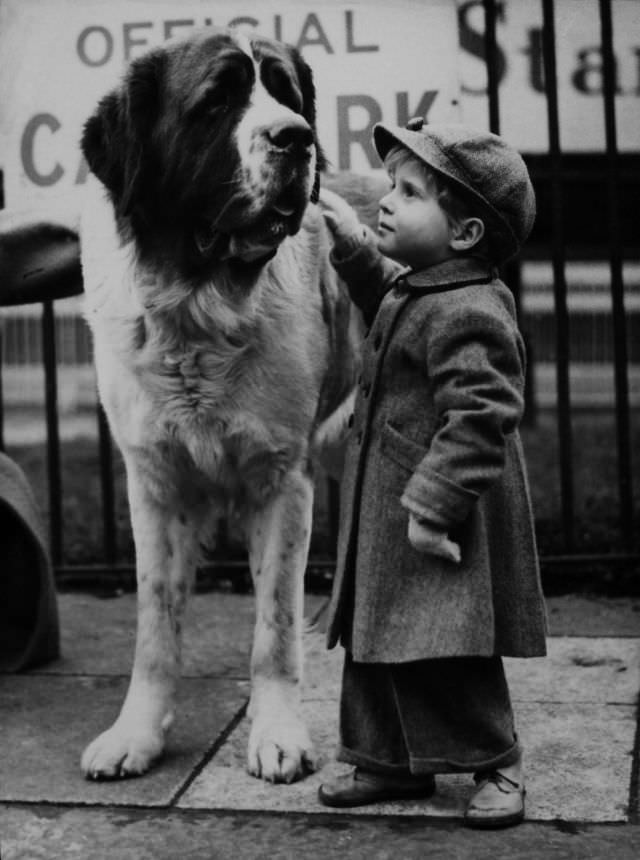 The Timeless Bond: Children and Animals in Vintage Pictures