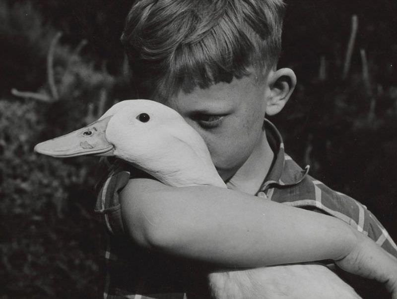 The Timeless Bond: Children and Animals in Vintage Pictures