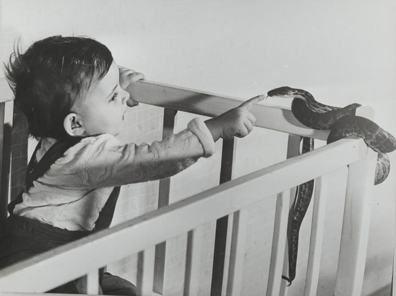 The Timeless Bond: Children and Animals in Vintage Pictures