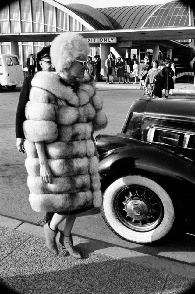 Phyllis Diller, wearing a fox fur coat and high-heeled half boots, is picked up by a driver sent by her husband at the St. Louis airport, April 1963.