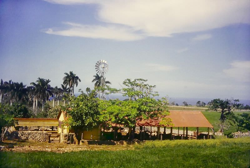 Matanzas, Cuba, 1950