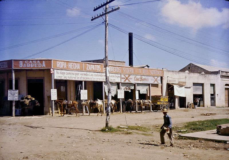 A store in Cuba, they were still using horses for transport in 1950