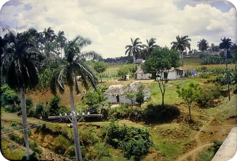 A Cuban farm, 1950