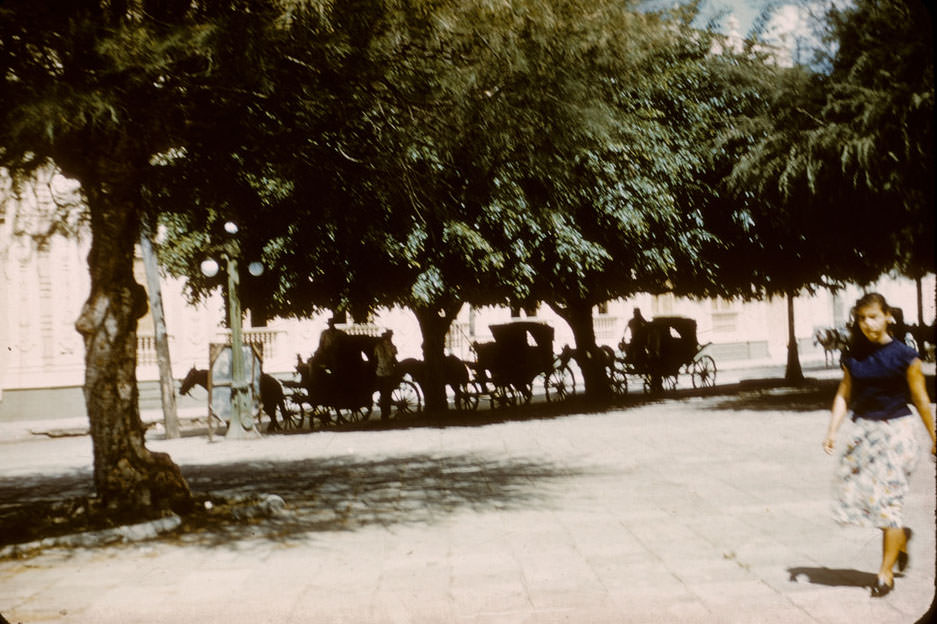 Taxis waiting in the shade, Sagua la Grande, 1956