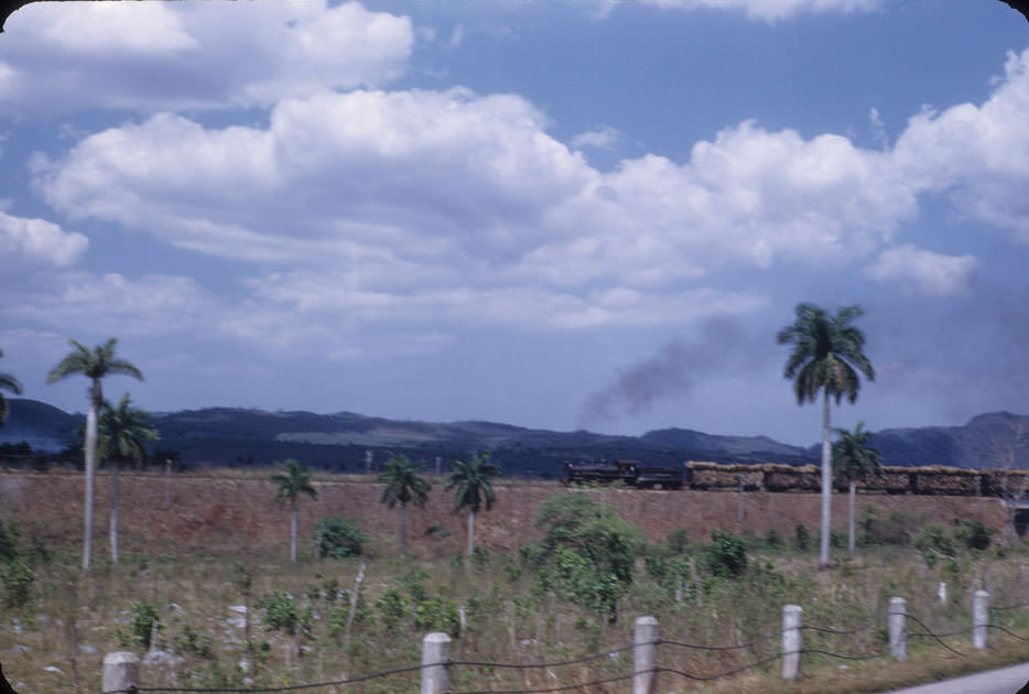 Train load of sugarcane