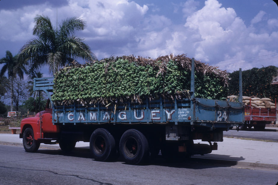 Truckload of bananas