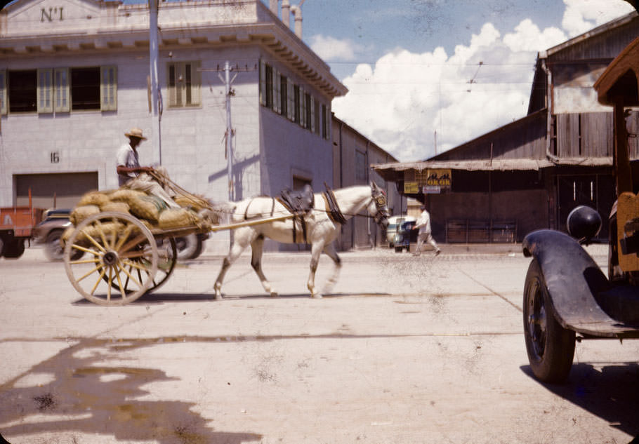White horse with saddle pulling cart loaded with sacks in Santiago de Cuba