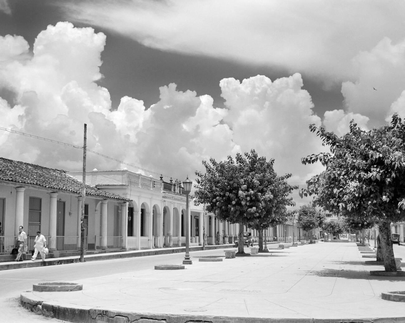 Street Scene with Trees in the Central Boulevard of Pinar del Rio, Pinar del Rio Province, Cuba.