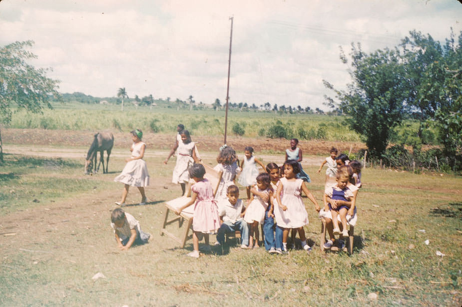 Group of children in field, horse grazing