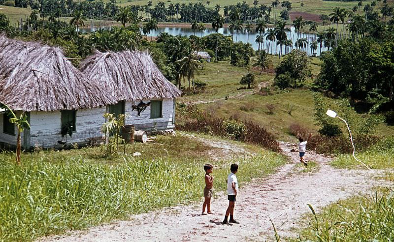 Boys playing with a kite in an agricultural region with farmers' houses and palm trees along the lake, Cuba, 1976