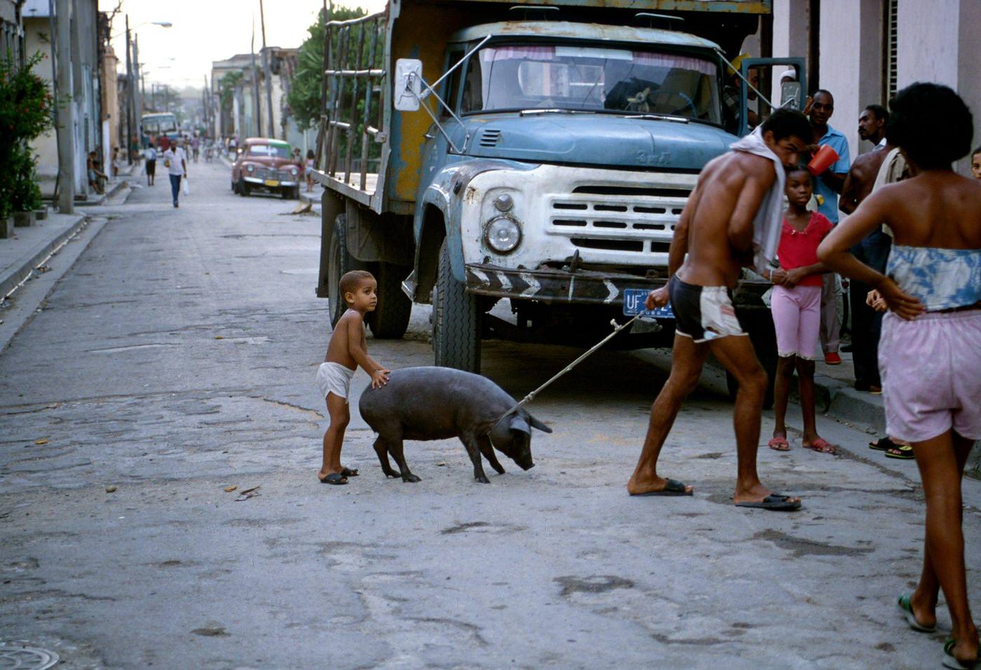 Cuban man dragging a piglet to sell at the market, Cuba, 1990.