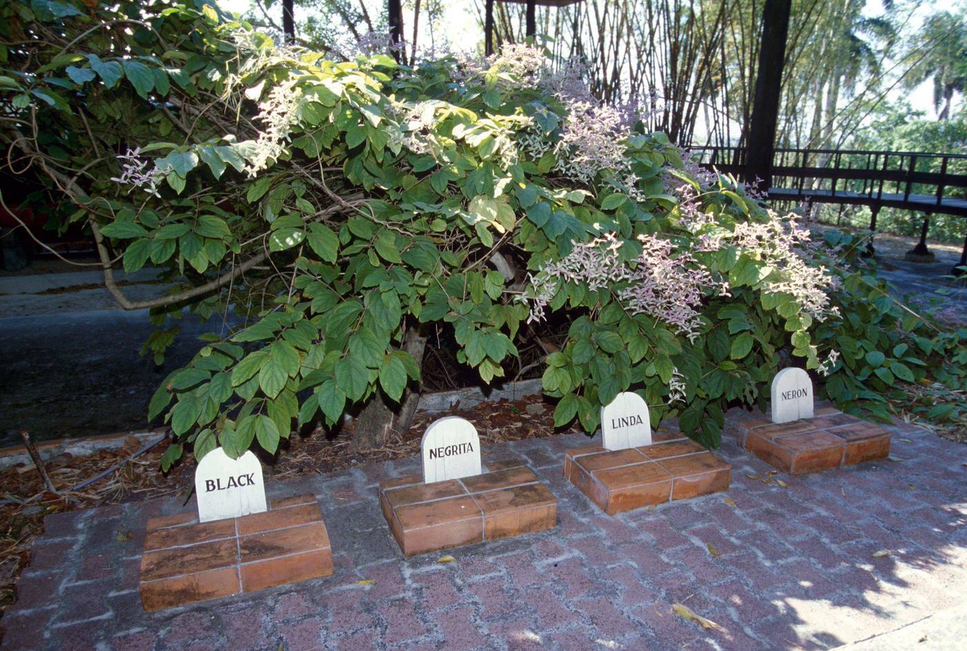 Graves of four dogs at Ernest Hemingway's house, Finca Vigia, in San Francisco de Paula, Cuba, 1990.