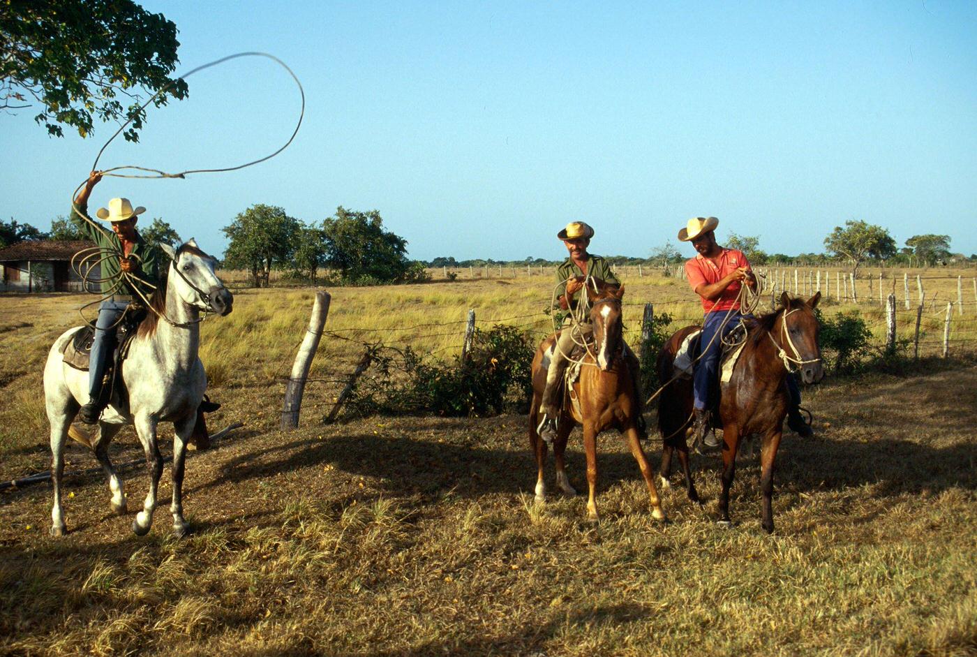 Three Cuban peasants riding horses in Camaguey, Cuba, 1990s.
