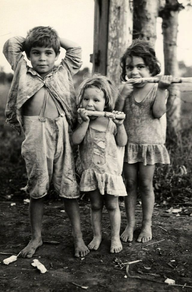 Children with sugar cane, Cuba, 1933