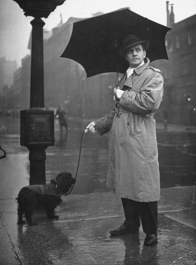 Actor Fredric March w.alked his cocker spaniel in the rain, 1944.