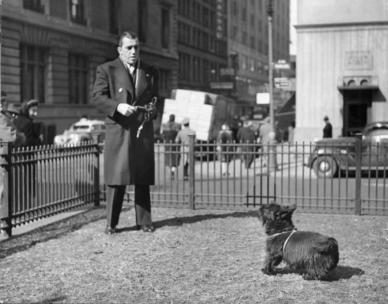 Ed Sullivan, then an entertainment columnist before he became a television host, brought his black Scottie dog to a fenced-in area on the street in New York City, 1944.