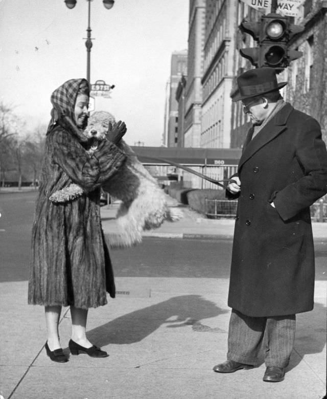 Conductor Artur Rodzinski and his wife with their poodle at 57th St. and 5th Ave in New York City, 1944.