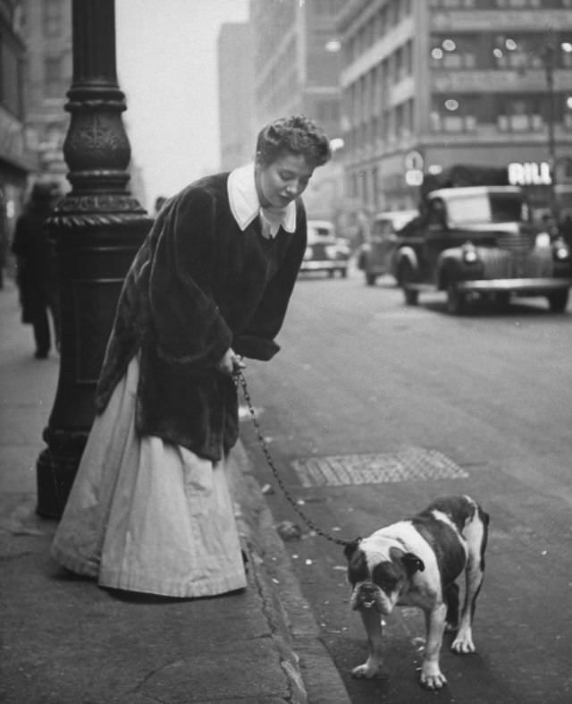 Actress Joan Roberts, wearing a costume for the musical Oklahoma, walked her English bulldog Goggles during intermission, 1944.