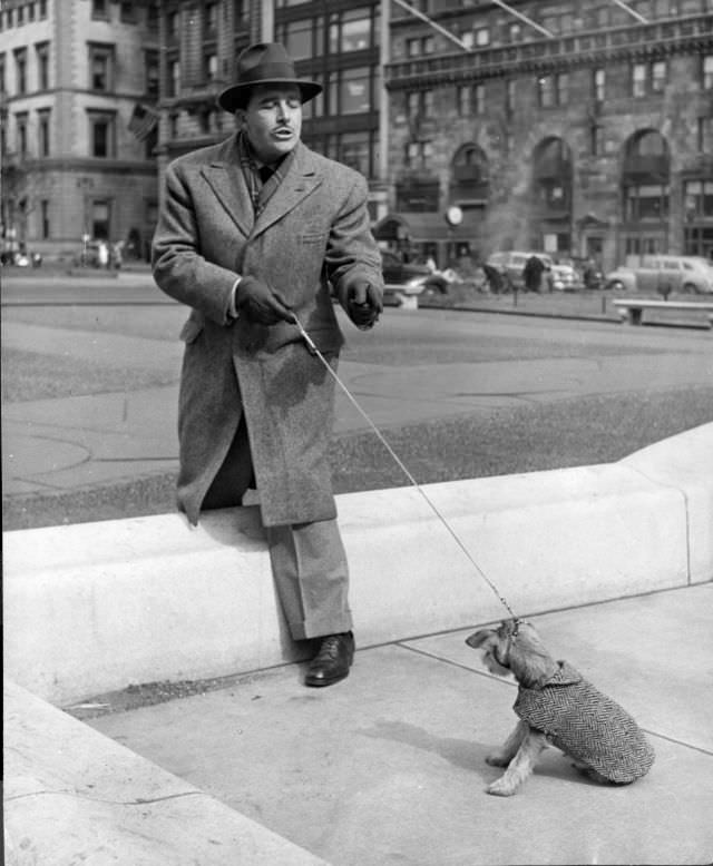 Actor John Boles coaxed his stubborn schnauzer puppy to jump a concrete barrier New York City, 1944.