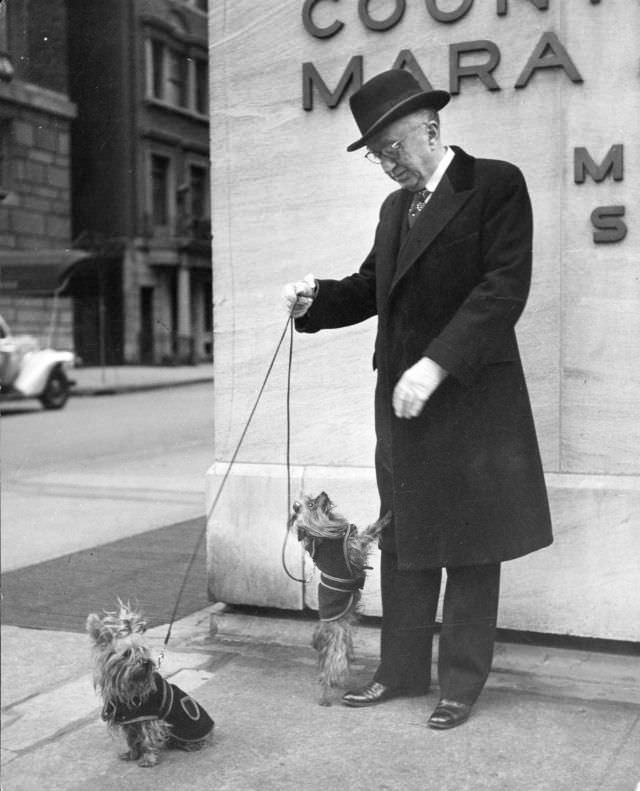 William F. Schlemmer, of Hammacher-Schlemmer, walked his Yorkshire terriers, New York City, 1944.