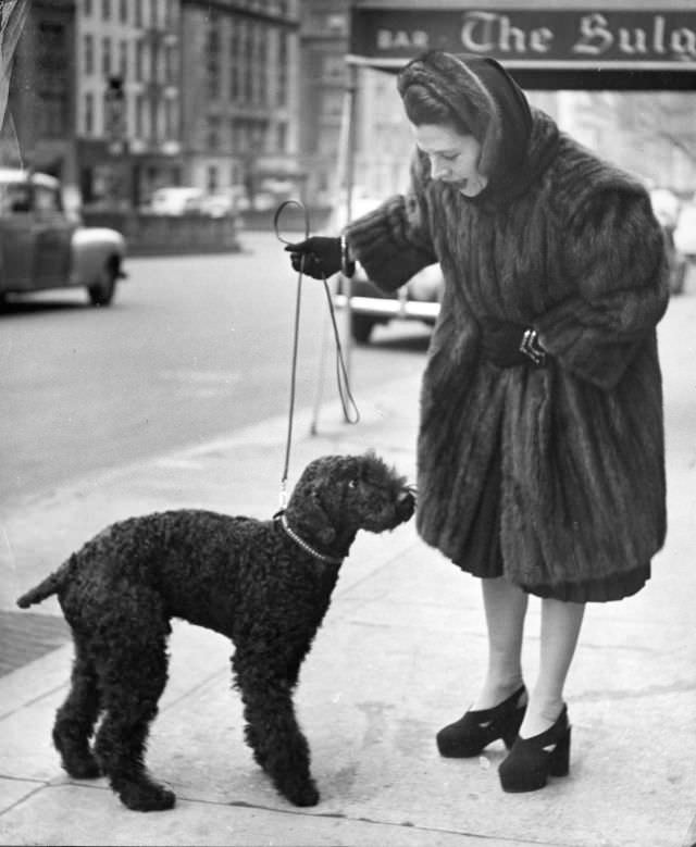 Actress Ruth Gordon walked her black poodle, New York City 1944.