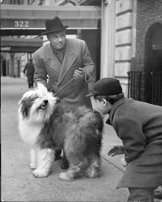 Music conductor Andre Kostelanetz with his sheep dog Puff, New York City, 1944.