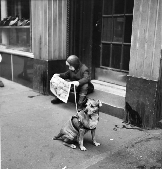 A boy read newspaper comics while his leash-tethered mutt waited, New York City, 1944.