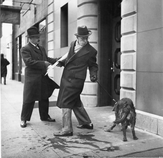 Artist Earle Winslow (right) showed his painting to a friend while struggling to keep his Irish setter under control, New York City, 1944.