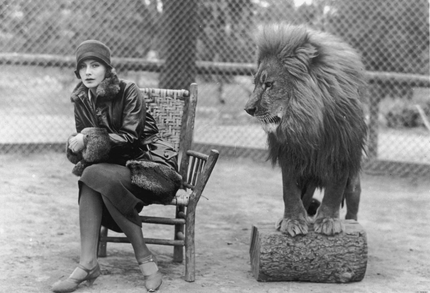 The Story Behind Greta Garbo Posing with MGM's Leo the Lion in 1926