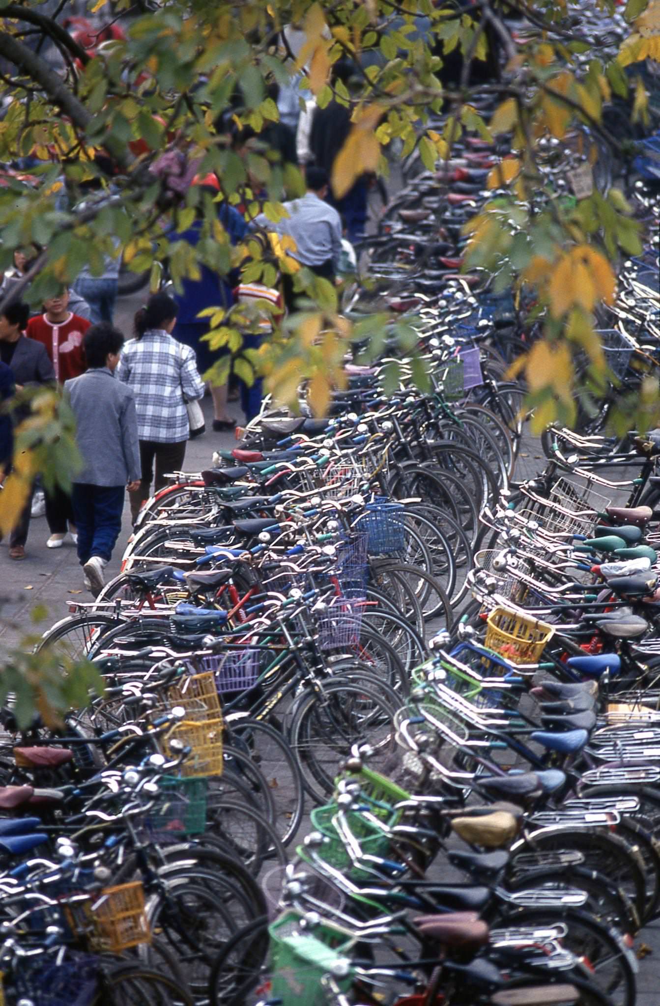 Bicycles Parked on Sidewalk in Guangzhou, 1979