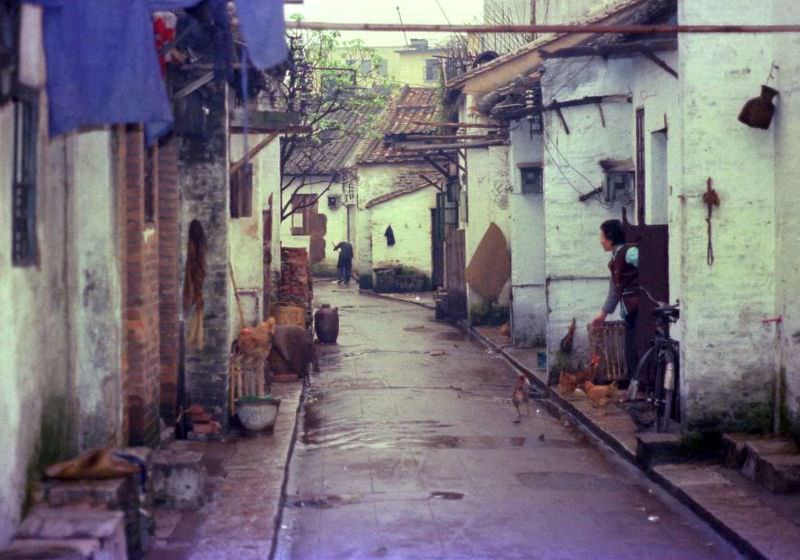 Chickens in the alley, Guangzhou, 1978