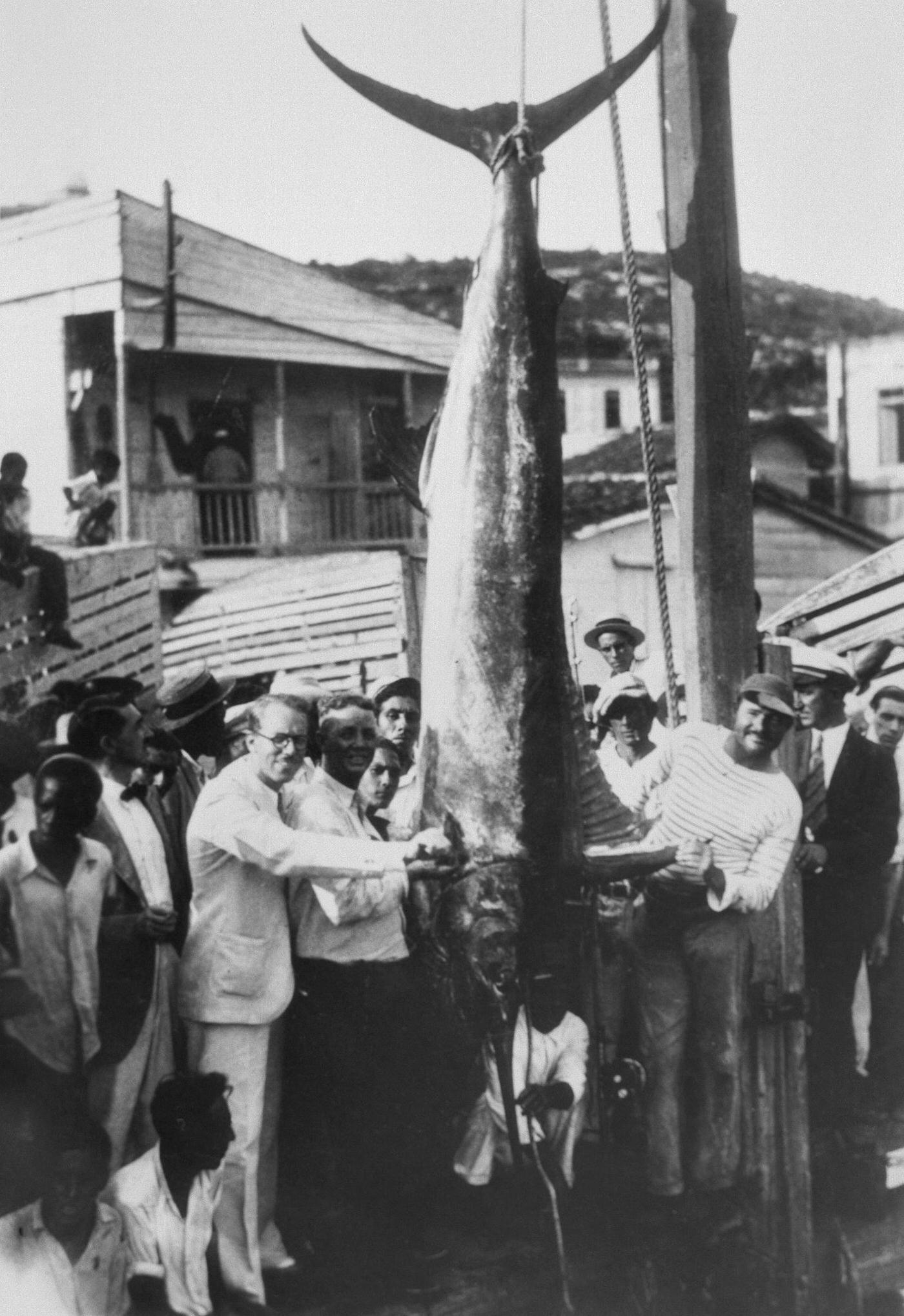 Ernest Hemingway with the record-breaking Black Marlin he caught off the Cuban coast, 1930