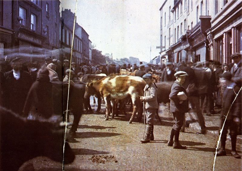 Galway, 1 May 1913: A picturesque view of Galway, capturing the essence of the city on a serene day.